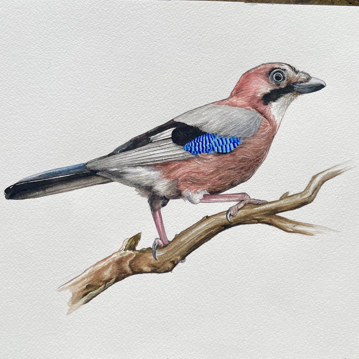 Garrulous Garrulus